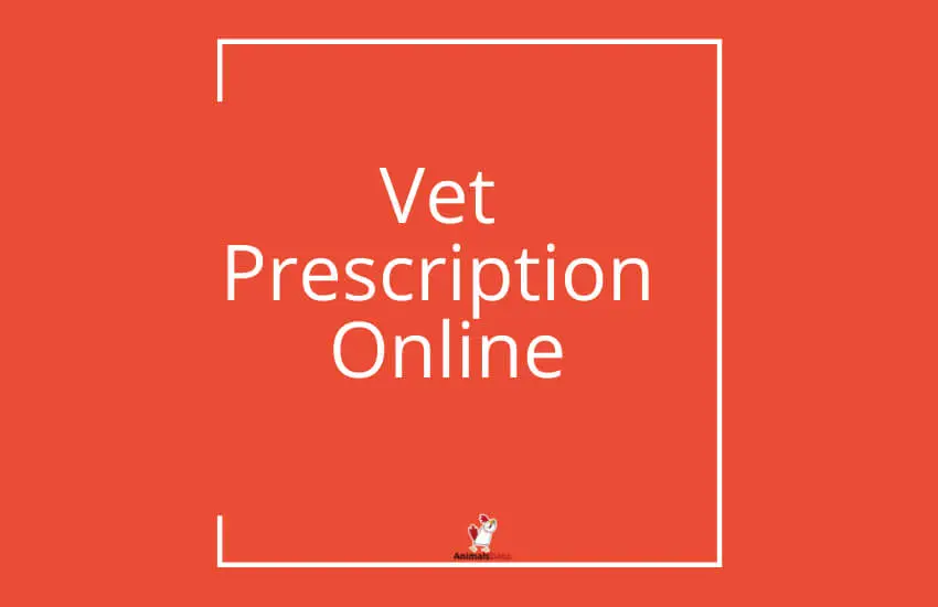Vet Prescription Online