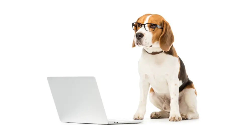 Emotional Support Dog Registry Service 