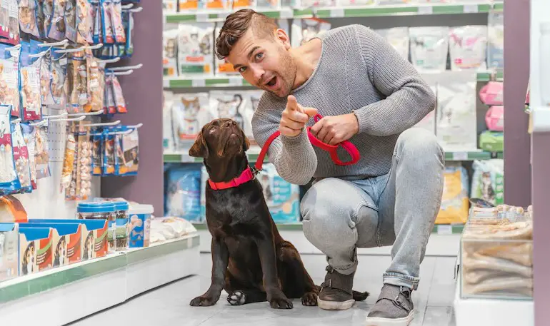 How Much Would A Typical Grooming Session Cost at Petco