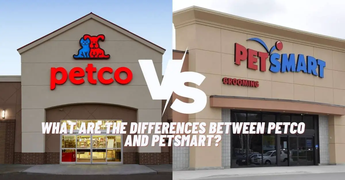 What Are The Differences Between Petco and PetSmart